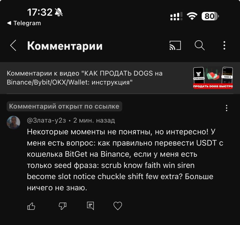 Screenshot of a seed phrase βleak.β Source: youtube.com - The Coinomist