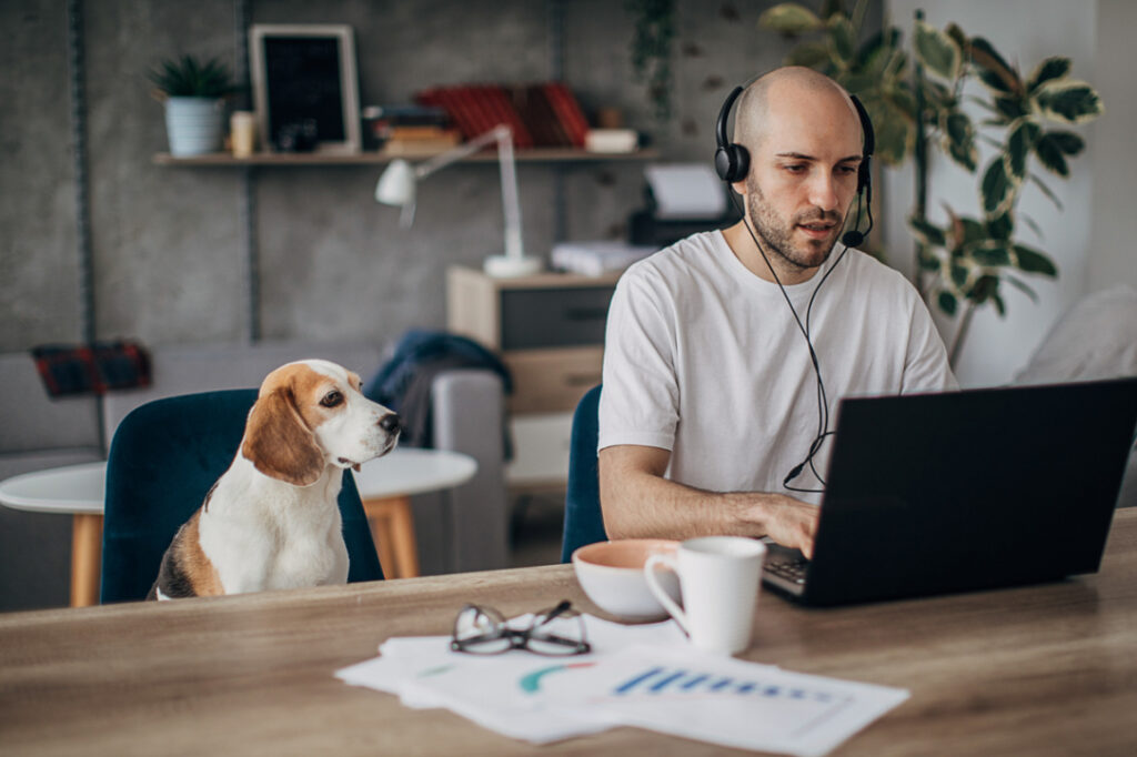 Web3 Job Boards: Where to Find Remote Work in Crypto – The Coinomist