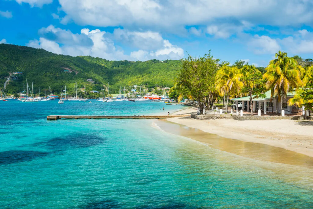 Bequia Island: A Tropical Paradise for Crypto Enthusiasts – The Coinomist