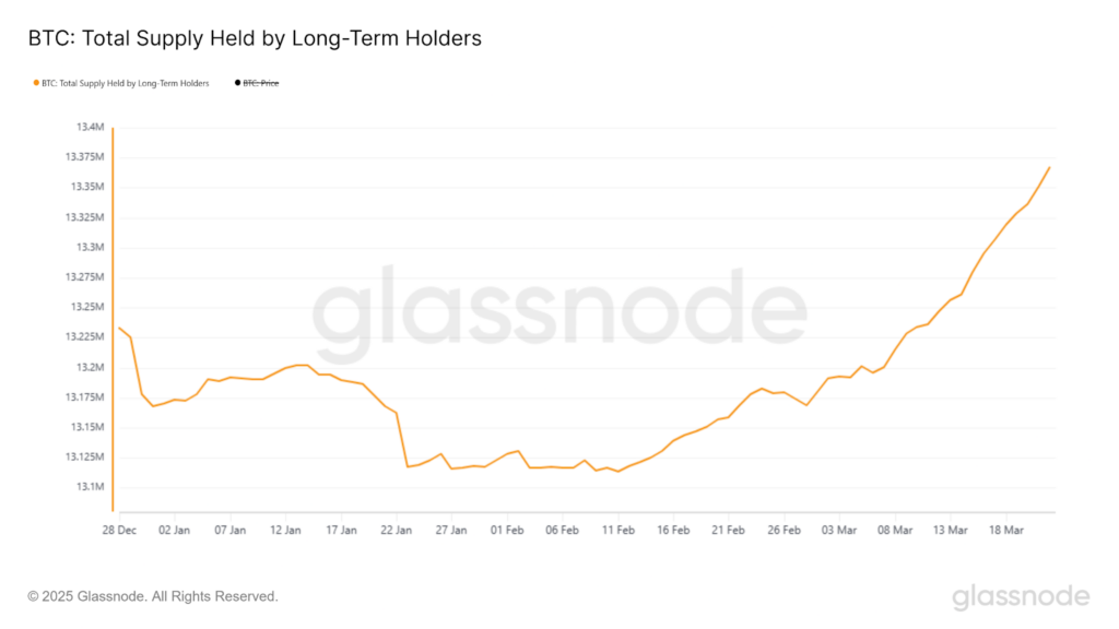 Bitcoins held by long-term investors - The Coinomist