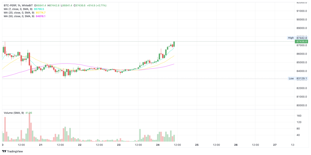Bitcoin price chart - The Coinomist