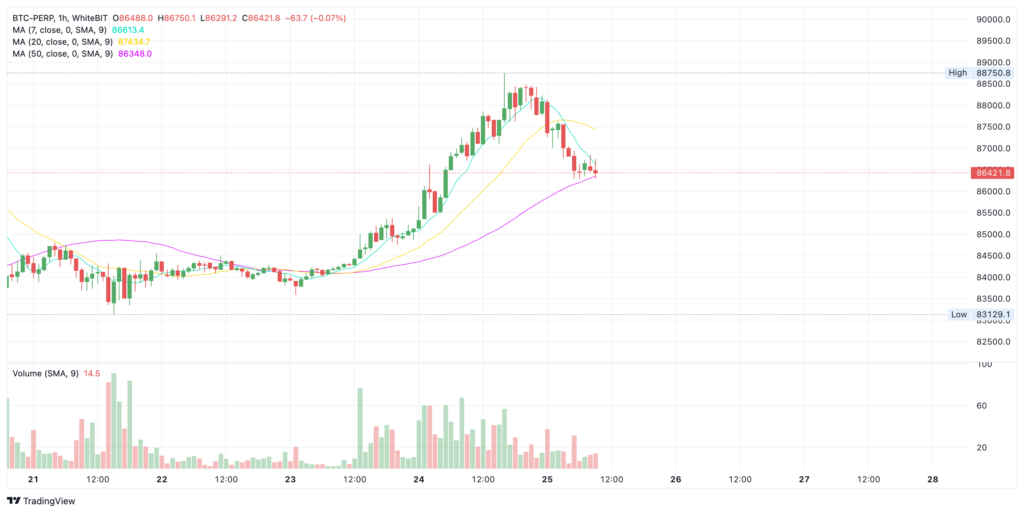 Bitcoin price chart - The Coinomist