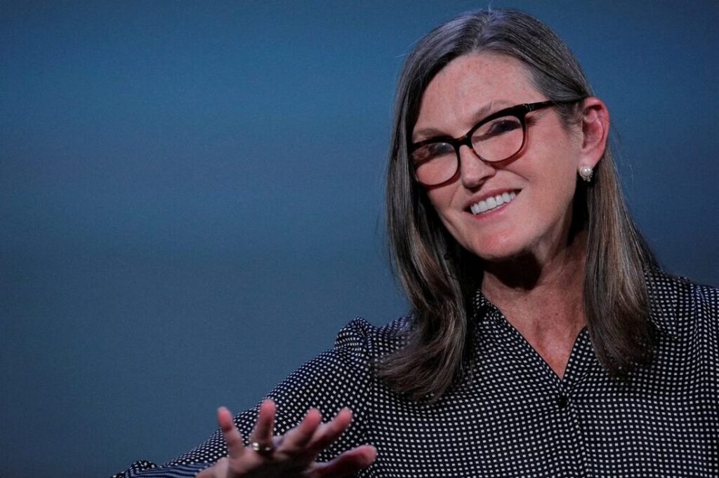 Cathie Wood (ARK Invest) - The Coinomist