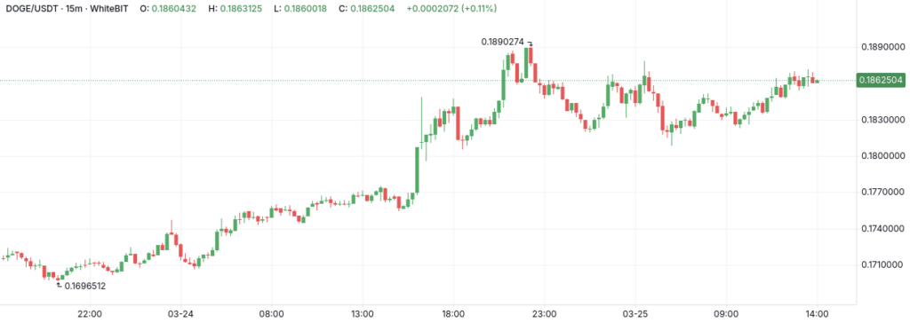 DOGE/USDT M15 Chart - The Coinomist