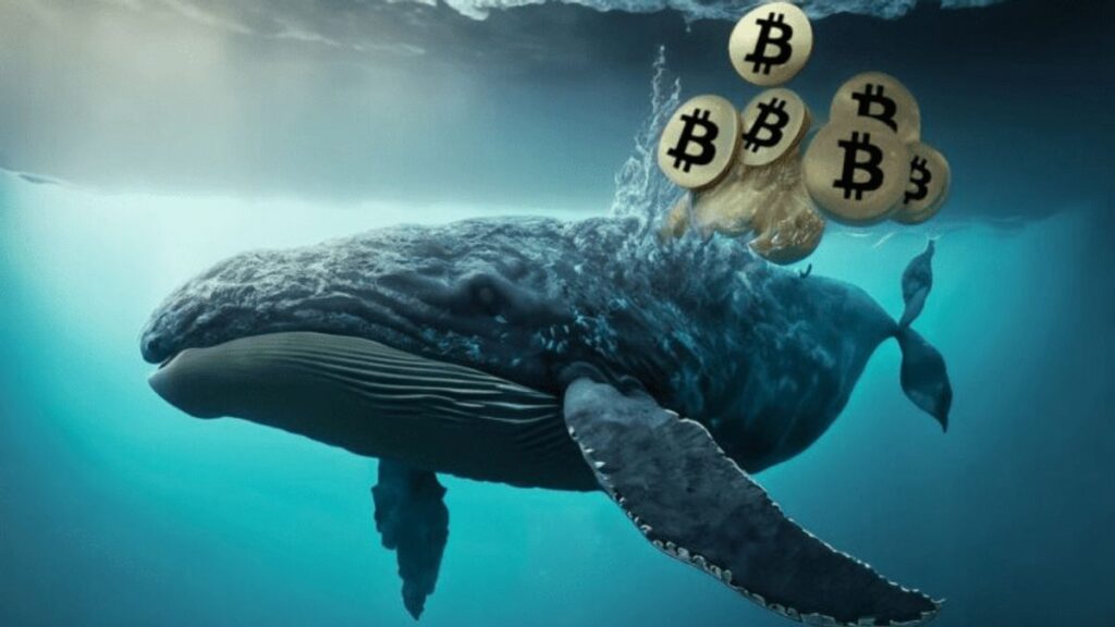 Whale activity and crypto market manipulation — The Coinomist