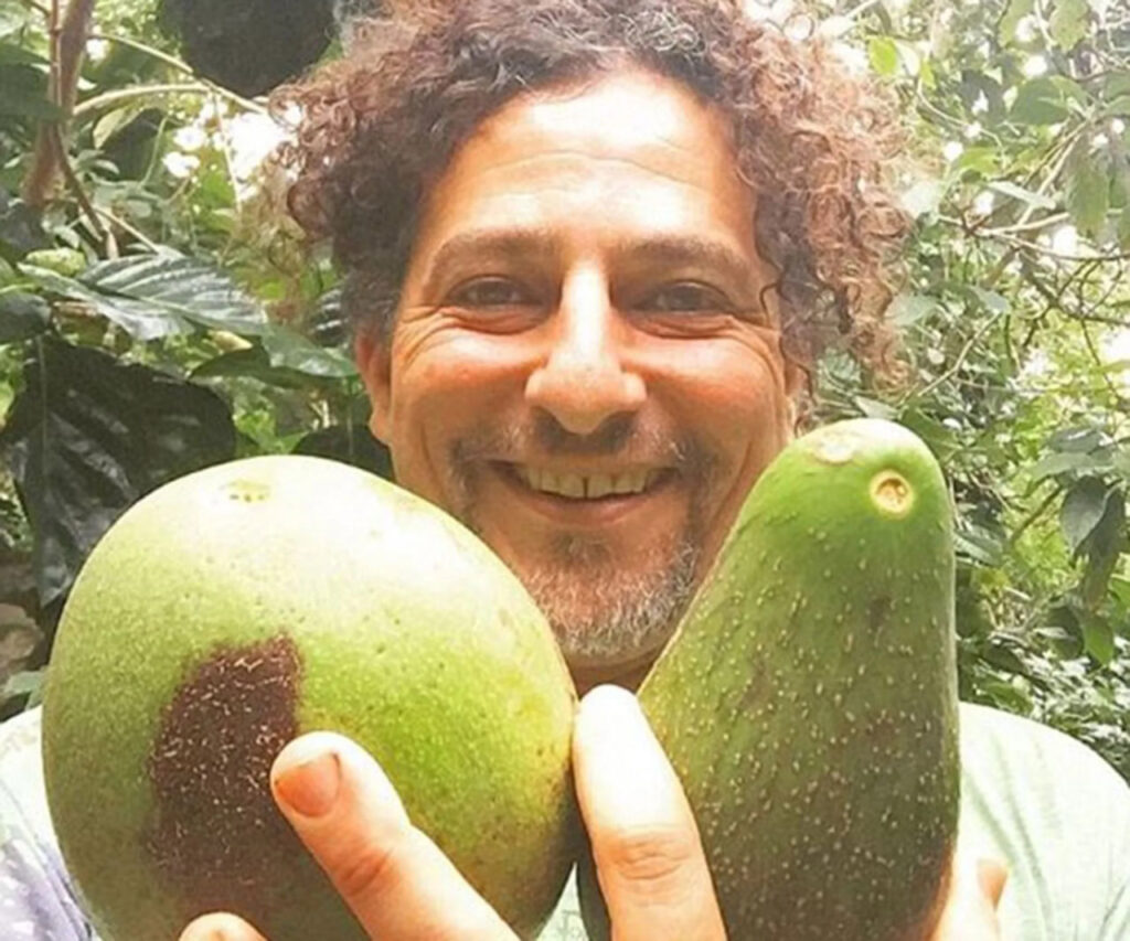 David Avocado Wolfe — The Coinomist