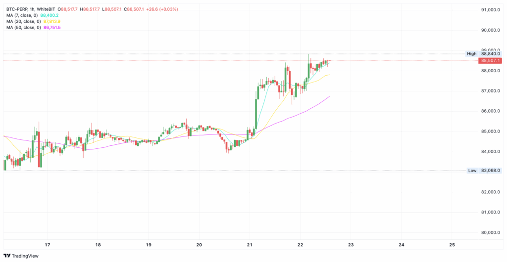 WhiteBIT’s real-time Bitcoin chart - The Coinomist