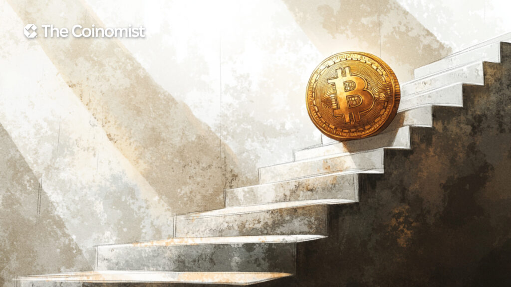 Bitcoin rises, market update - The Coinomist