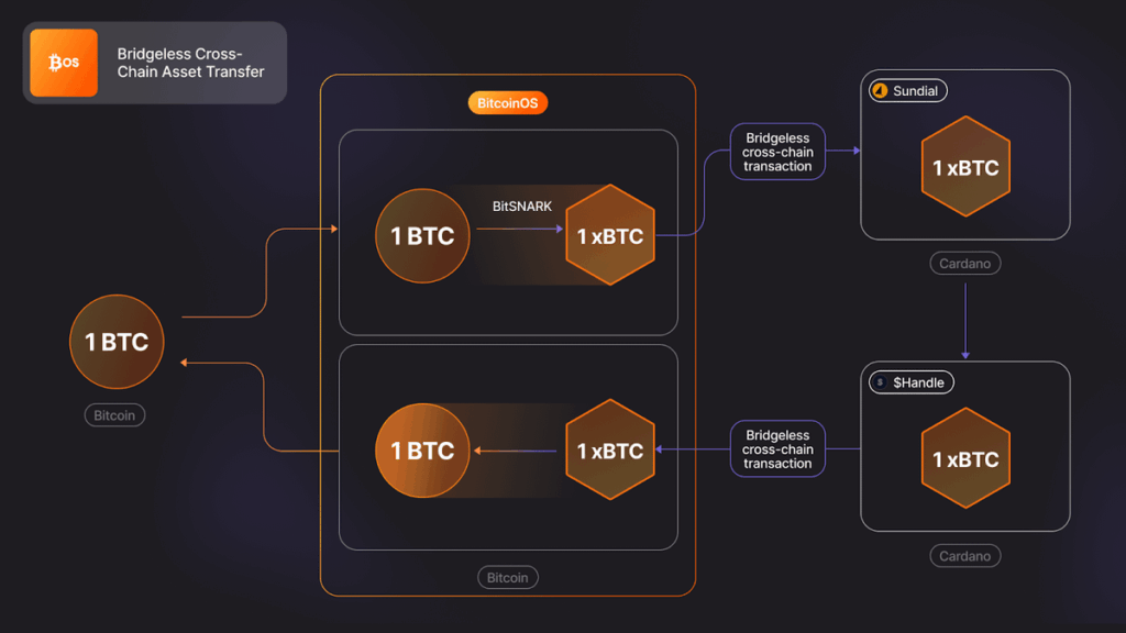 Step-by-step BTC transfer diagram across Bitcoin and Cardano — The Coinomist.