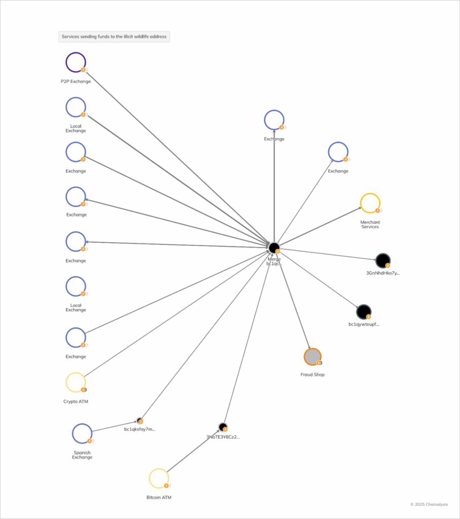 Graph showing crypto paths tied to wildlife trafficking networks — The Coinomist