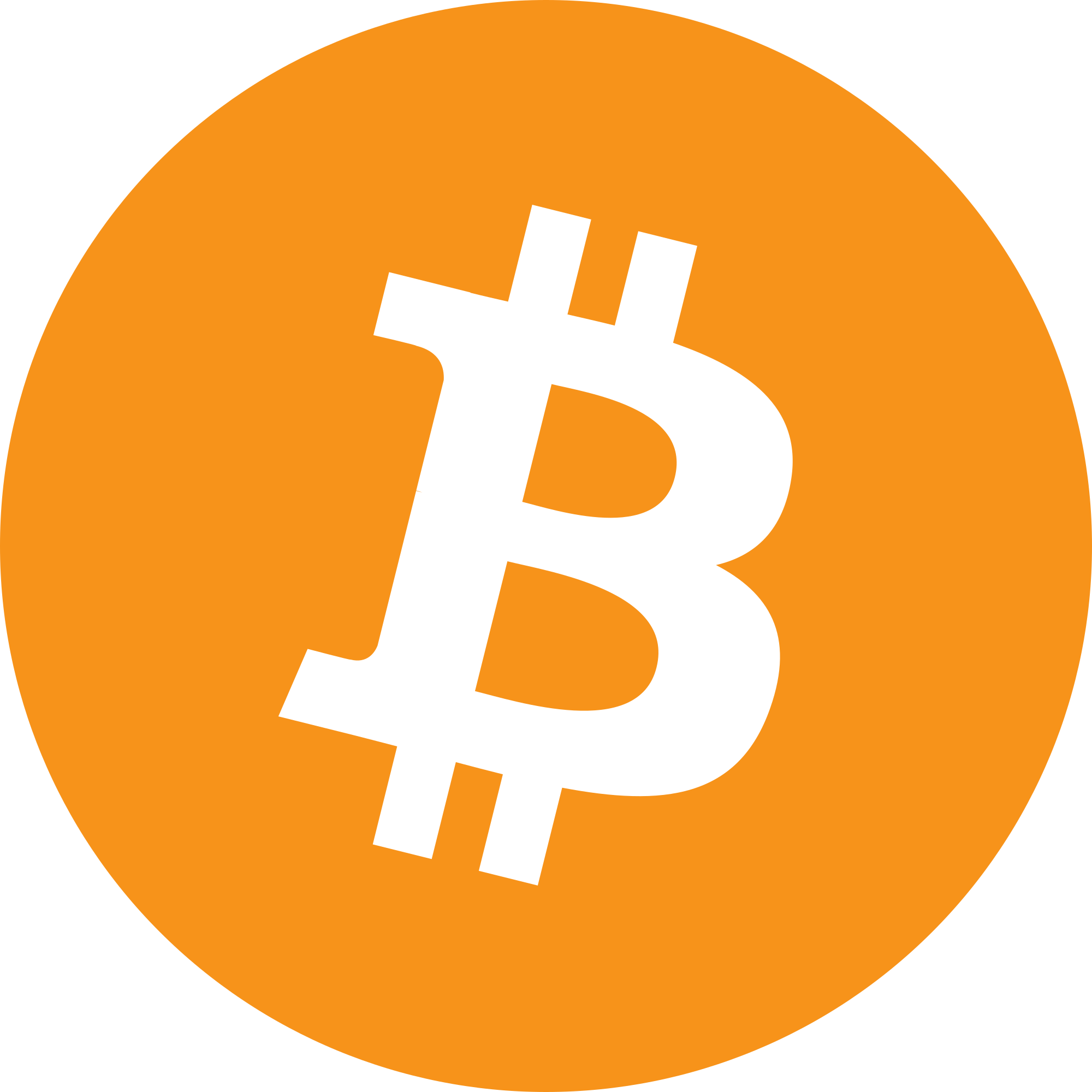 Bitcoin logo – The Coinomist