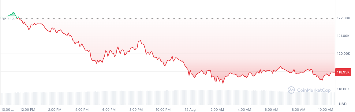 Bitcoin fell from $122,000 to below $119,000 in the last 24 hours on August 12, 2025. Source: CoinMarketCap